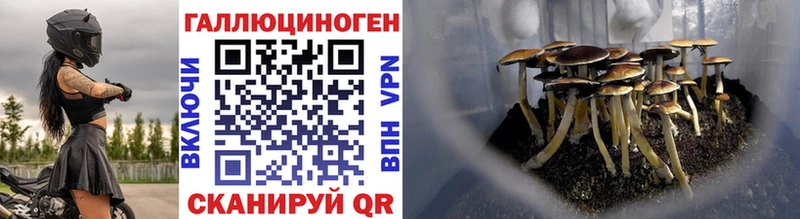 Купить закладки  Горнозаводск  Галлюциногенные грибы мицелий 